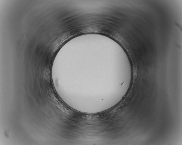 X0000100770345200807101757