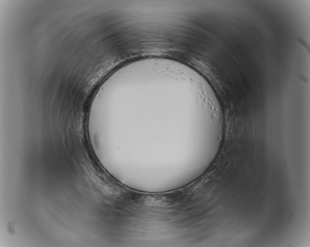X0000100770346200807101757