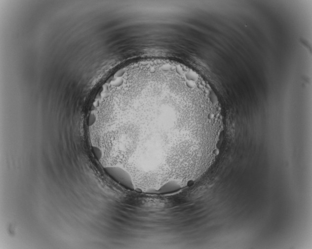X0000100770347200807101757