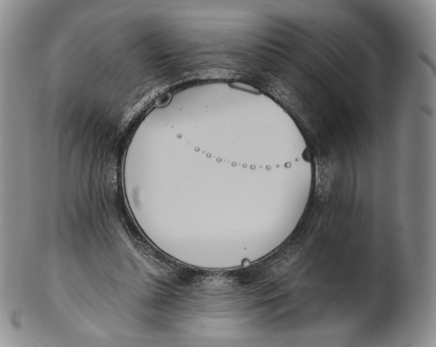 X0000100770348200807101757