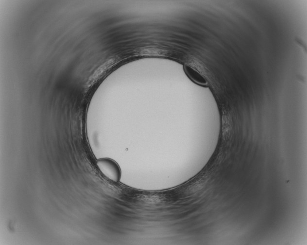 X0000100770349200807101757