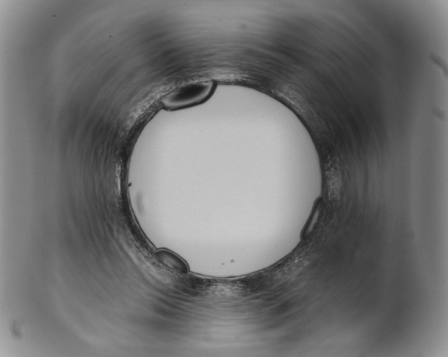 X0000100770350200807101757