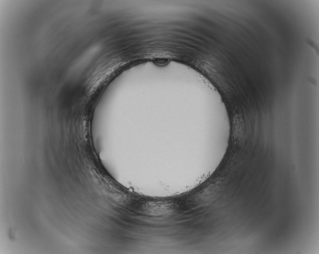 X0000100770351200807101757