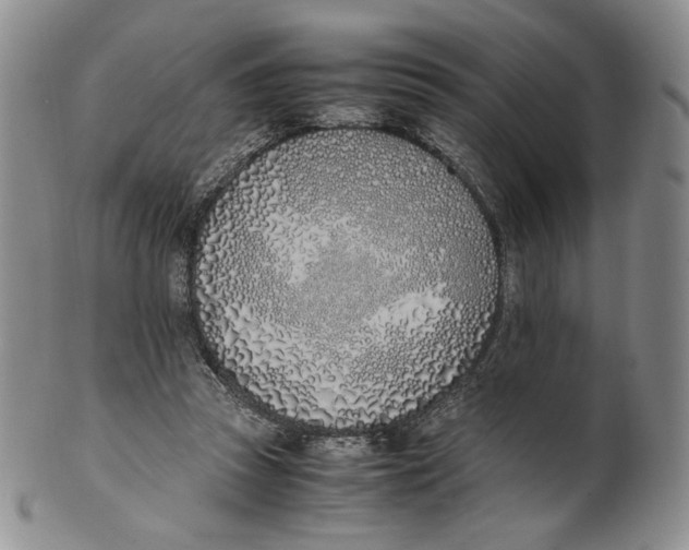 X0000100770353200807101757