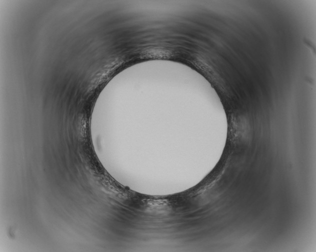 X0000100770355200807101757