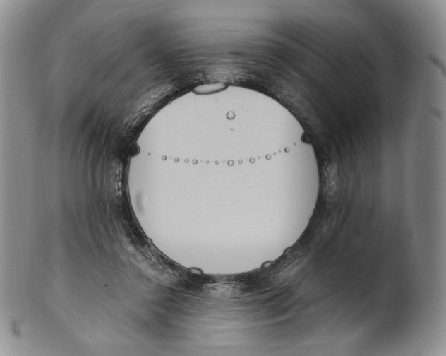 X0000100770356200807101757