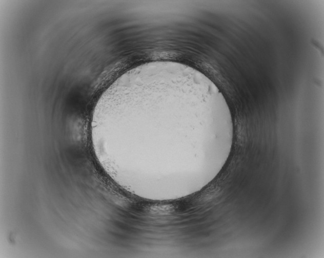 X0000100770357200807101757