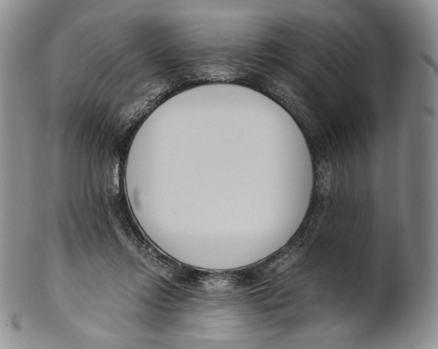 X0000100770358200807101757