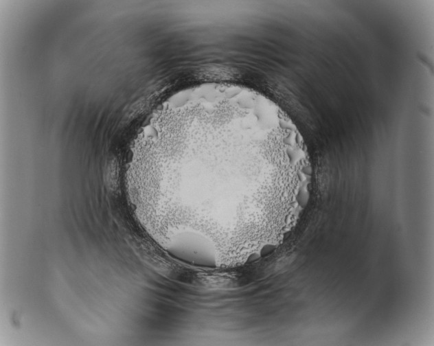 X0000100770359200807101757