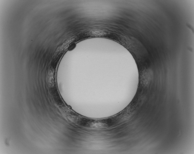 X0000100770360200807101757