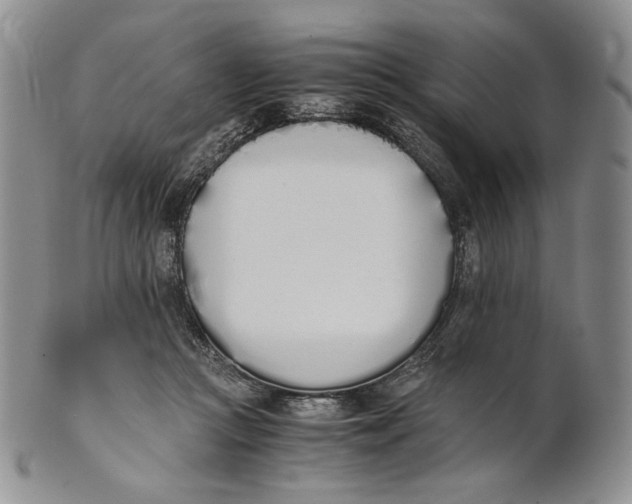 X0000100770361200807101757