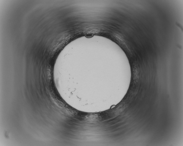 X0000100770362200807101757