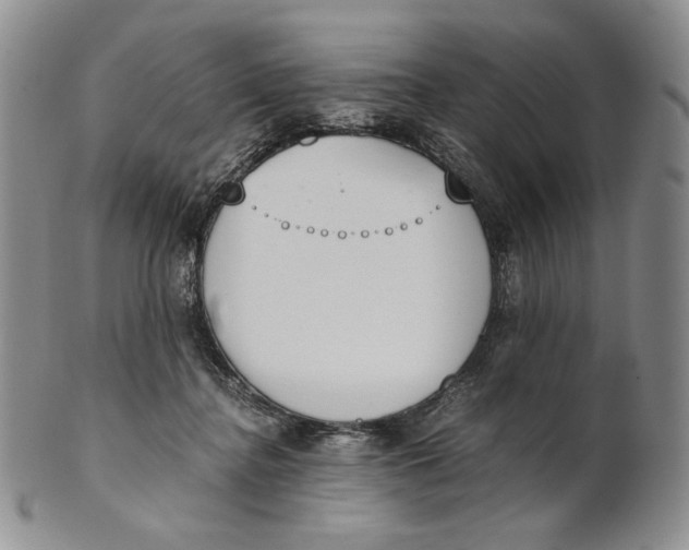 X0000100770364200807101757