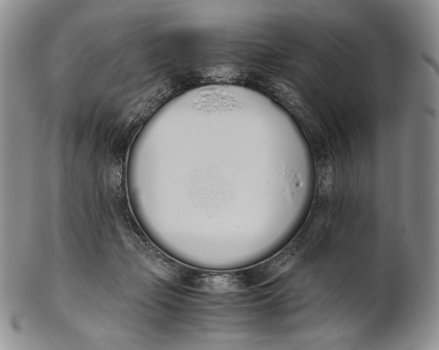 X0000100770365200807101757