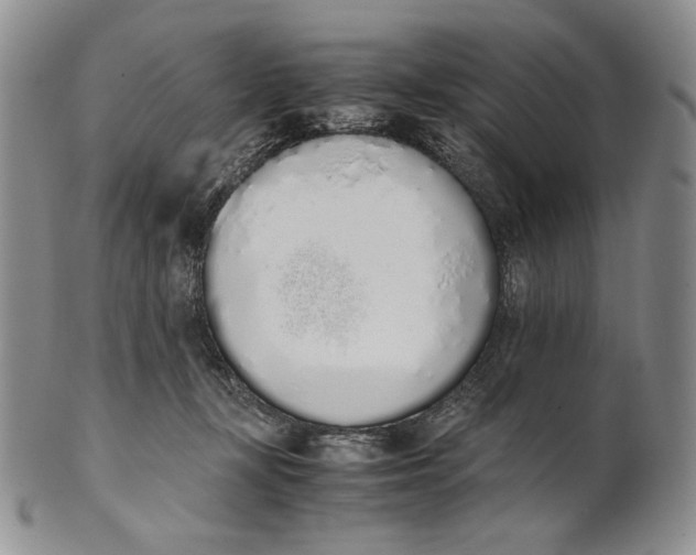 X0000100770367200807101757