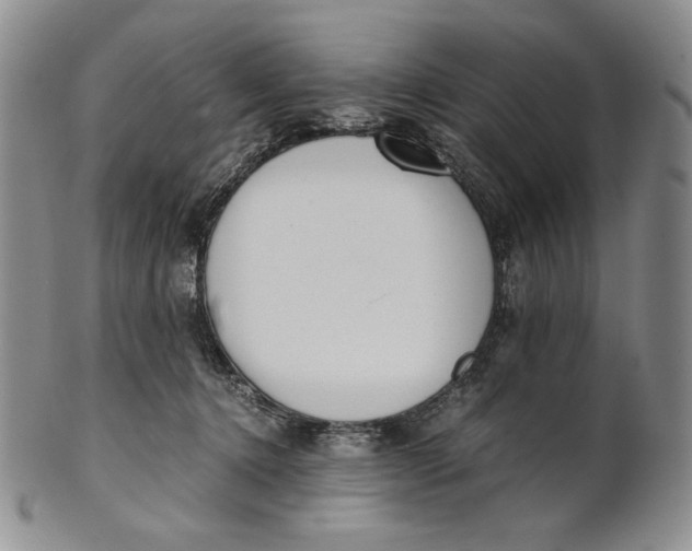 X0000100770368200807101757