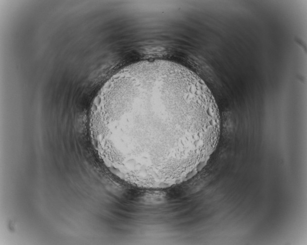 X0000100770369200807101757