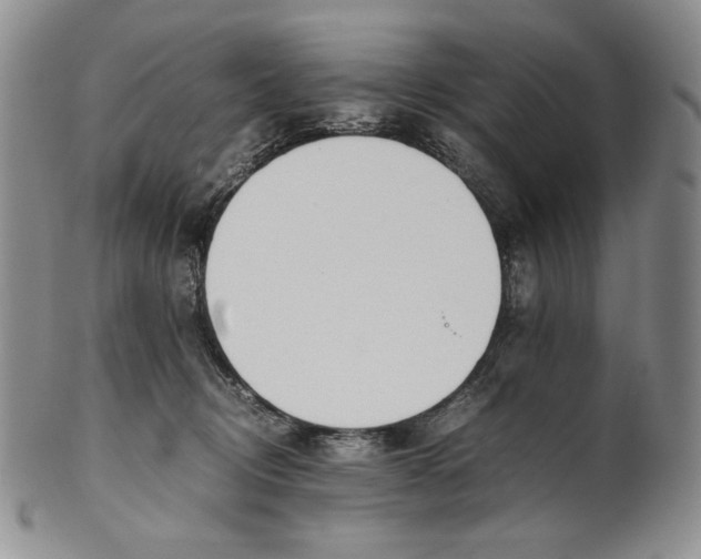 X0000100770370200807101757