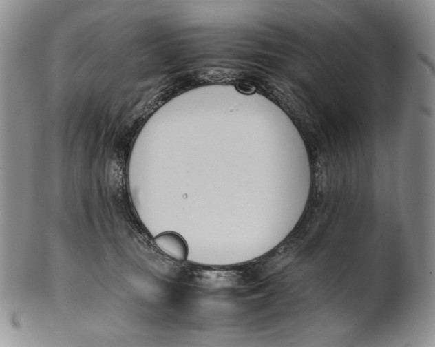 X0000100770371200807101757