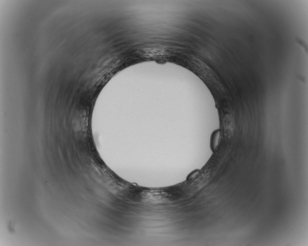 X0000100770372200807101757