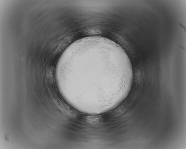 X0000100770373200807101757