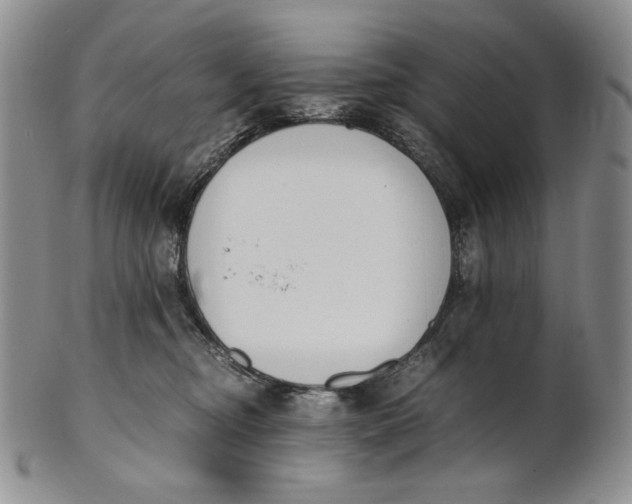 X0000100770374200807101757
