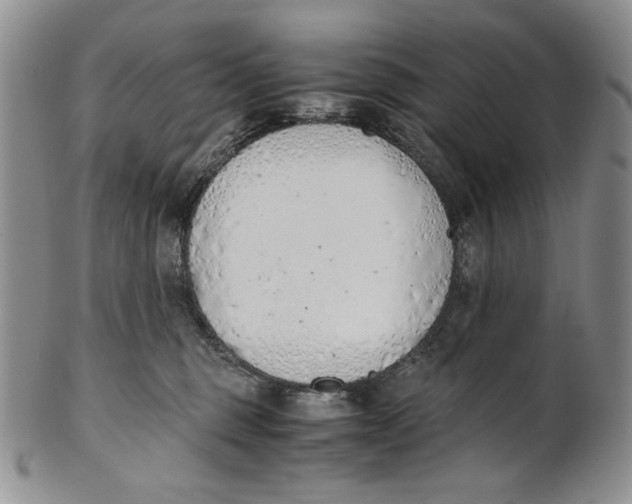 X0000100770375200807101757