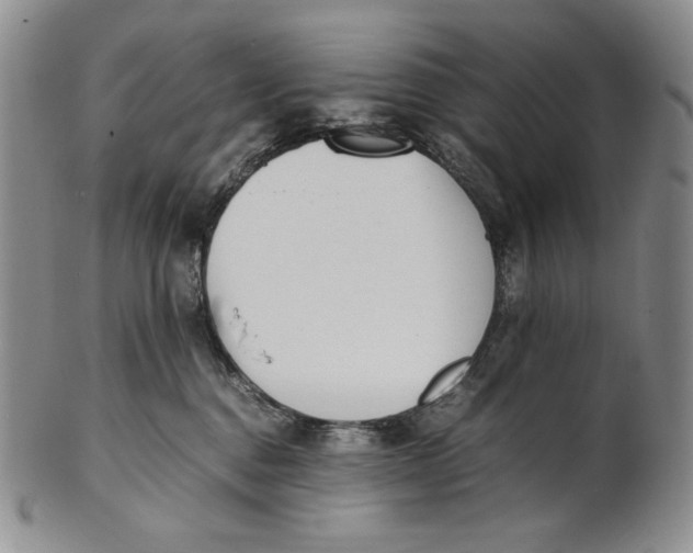 X0000100770376200807101757