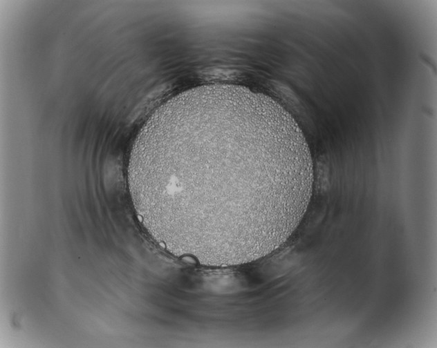 X0000100770377200807101757