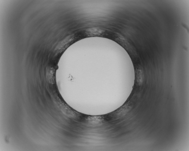 X0000100770378200807101757