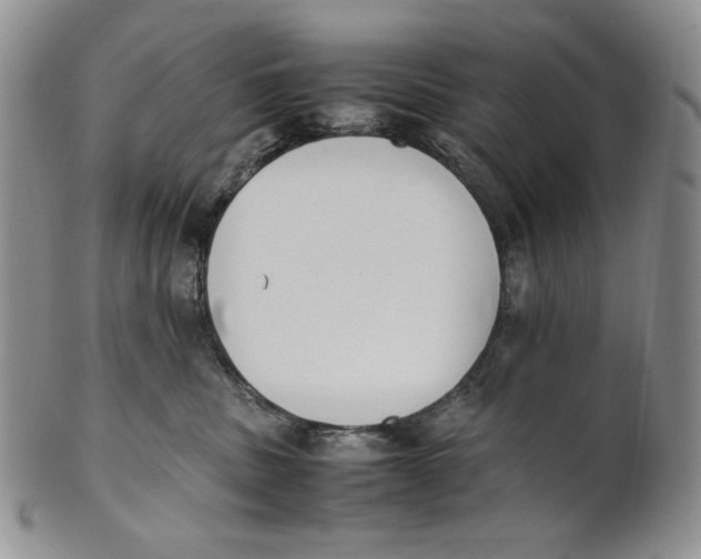 X0000100770379200807101757