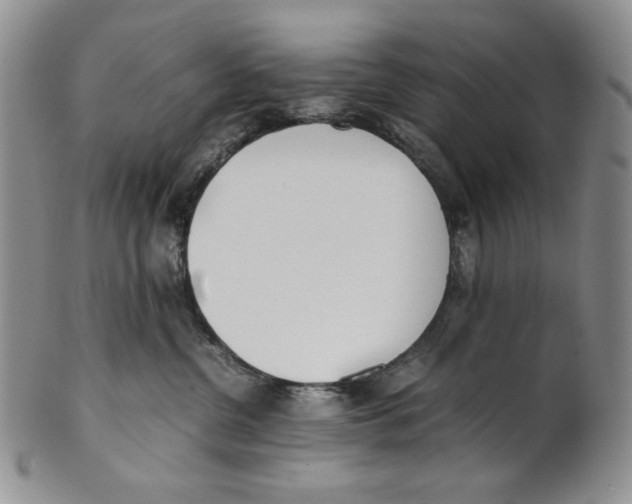 X0000100770380200807101757