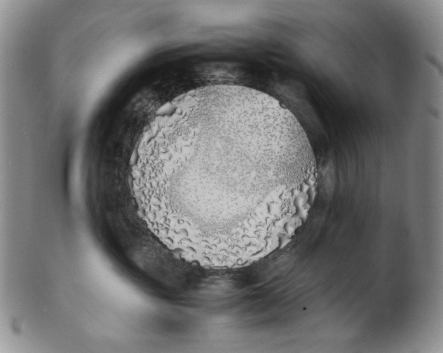 X0000100770381200807101757