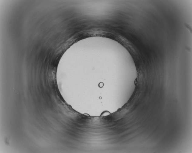X0000100770382200807101757