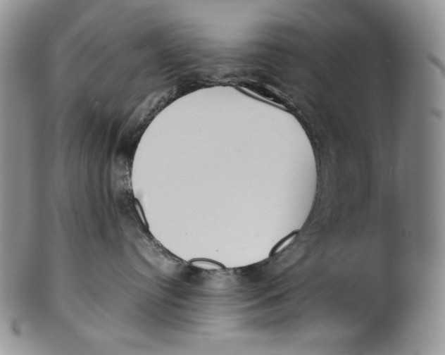 X0000100770384200807101757