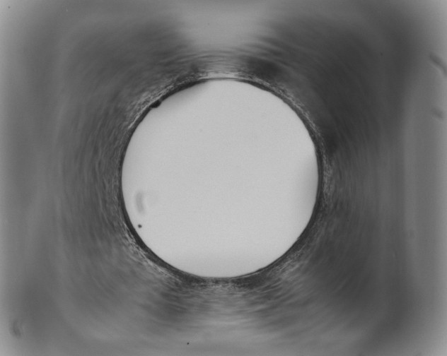 X0000100770385200807101757