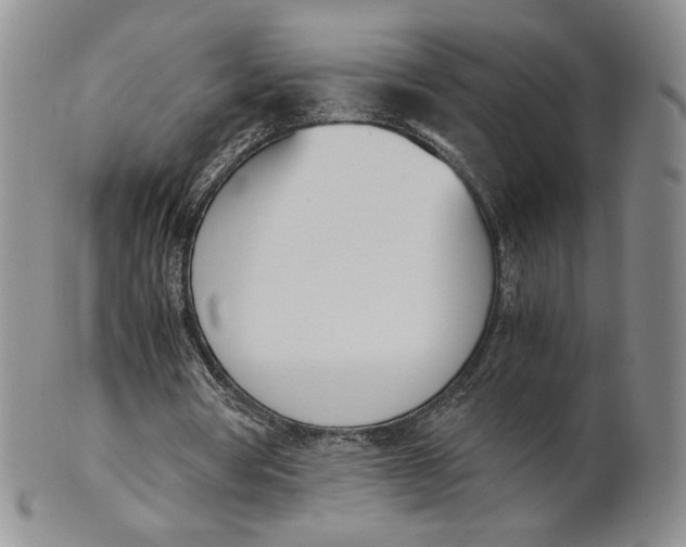 X0000100770386200807101757