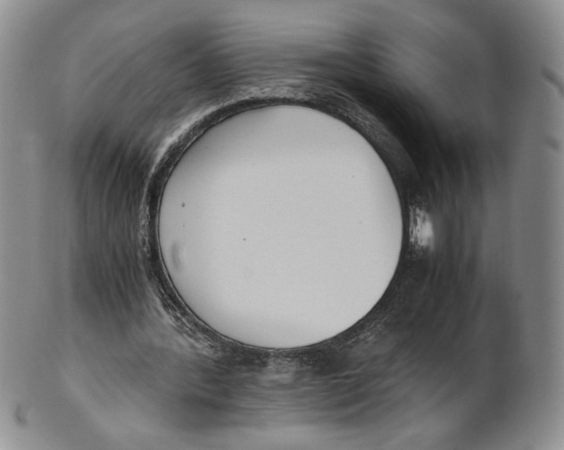 X0000100770388200807101757
