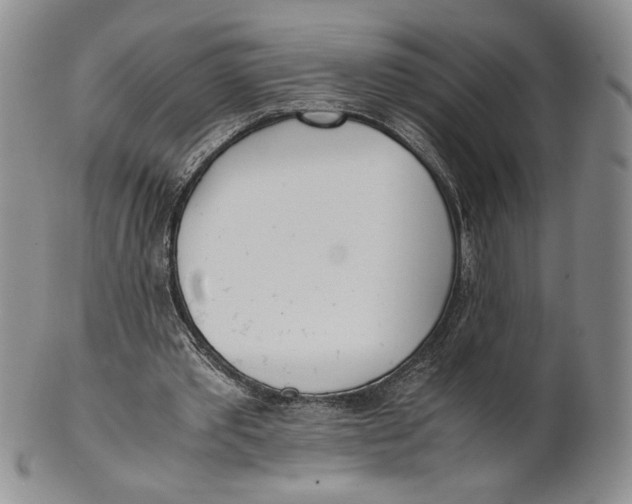 X0000100770389200807101757