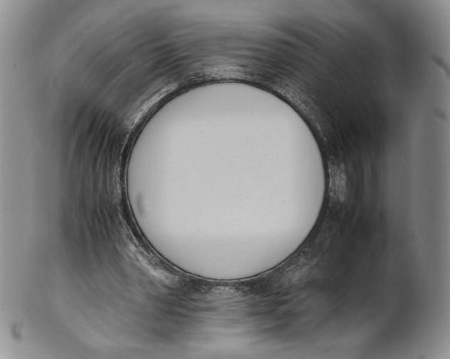 X0000100770390200807101757