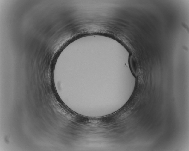 X0000100770391200807101757