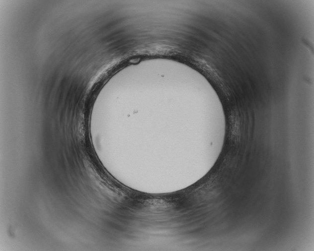 X0000100770392200807101757