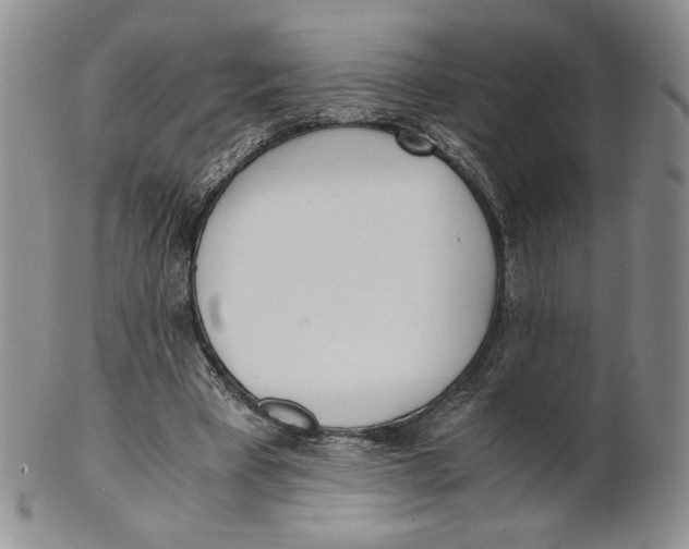 X0000100770393200807101757