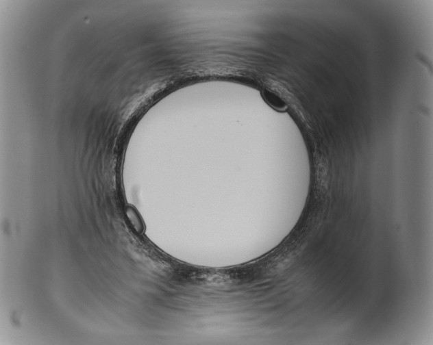 X0000100770395200807101757