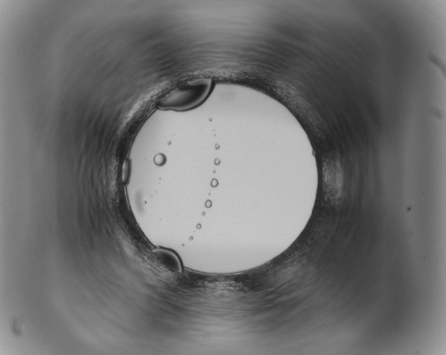 X0000100770396200807101757