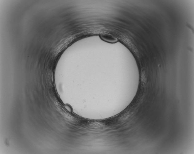 X0000100770397200807101757