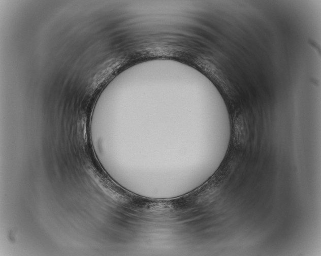 X0000100770398200807101757