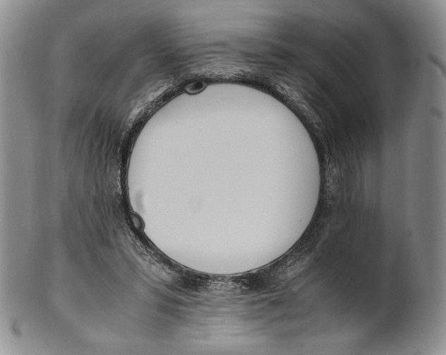 X0000100770399200807101757