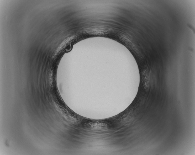 X0000100770400200807101757