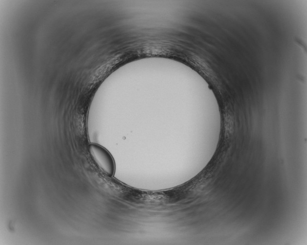 X0000100770401200807101756